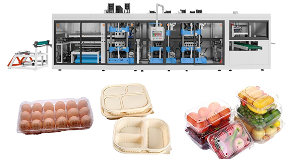 Plastic takeaway box thermoforming machine supply